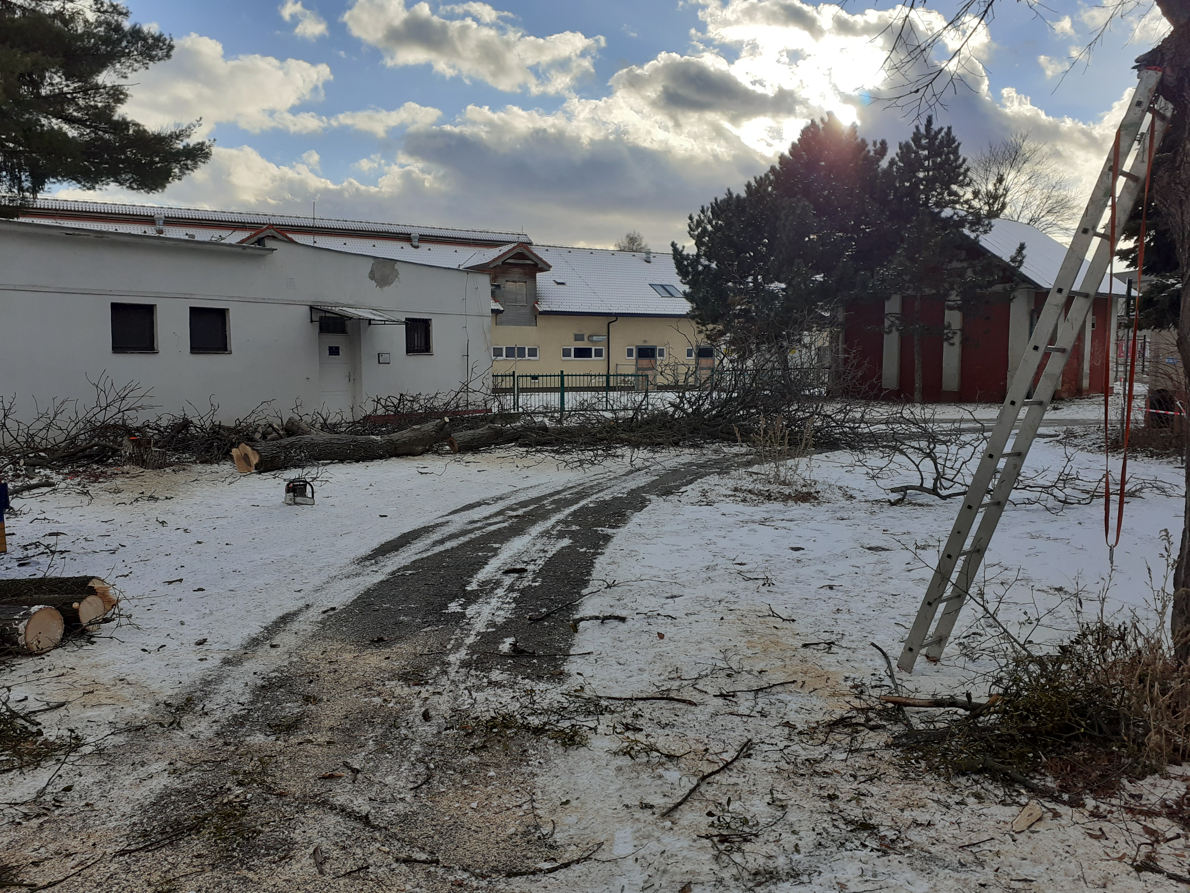 Referencie arboristika