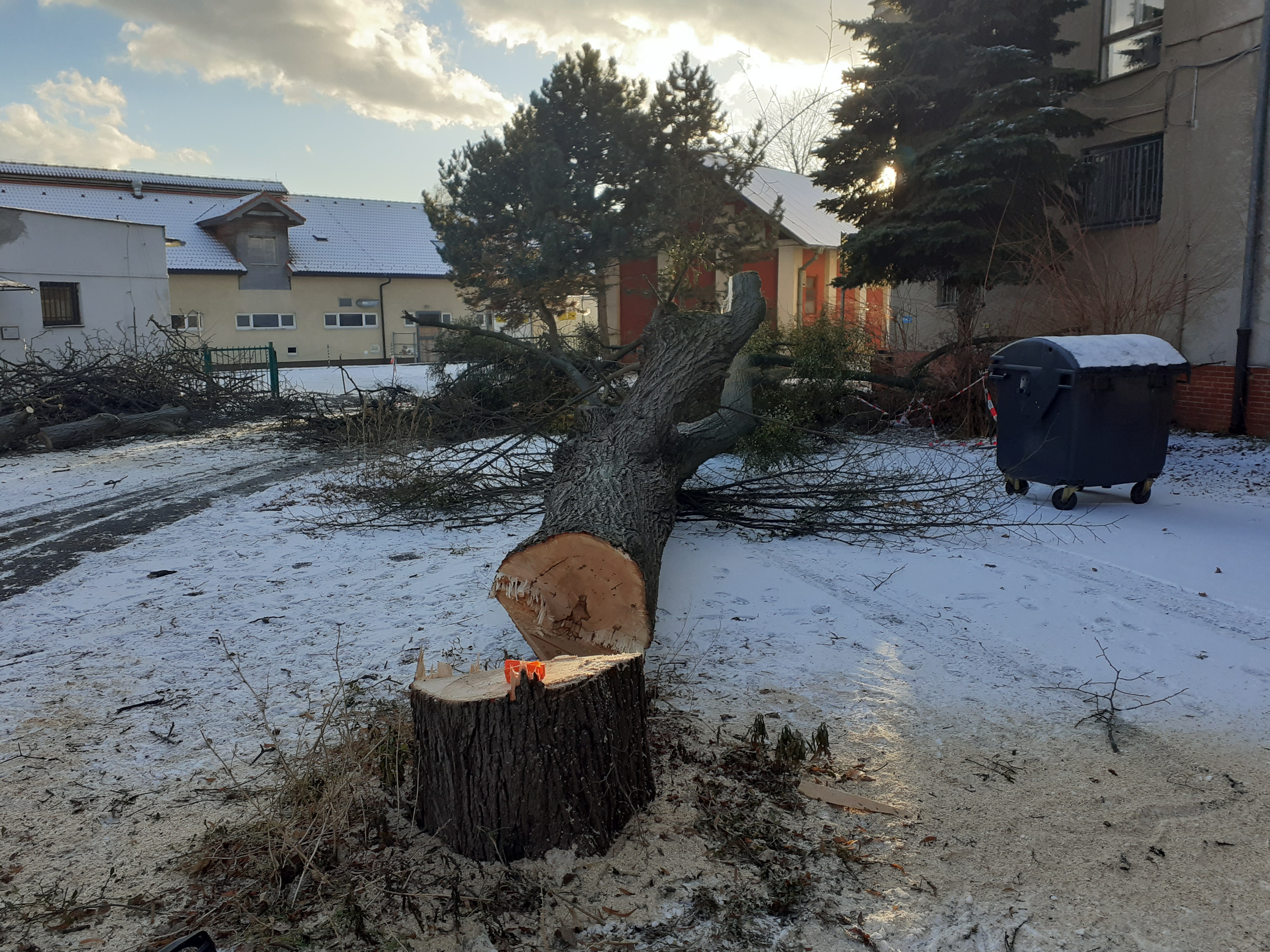 Referencie arboristika