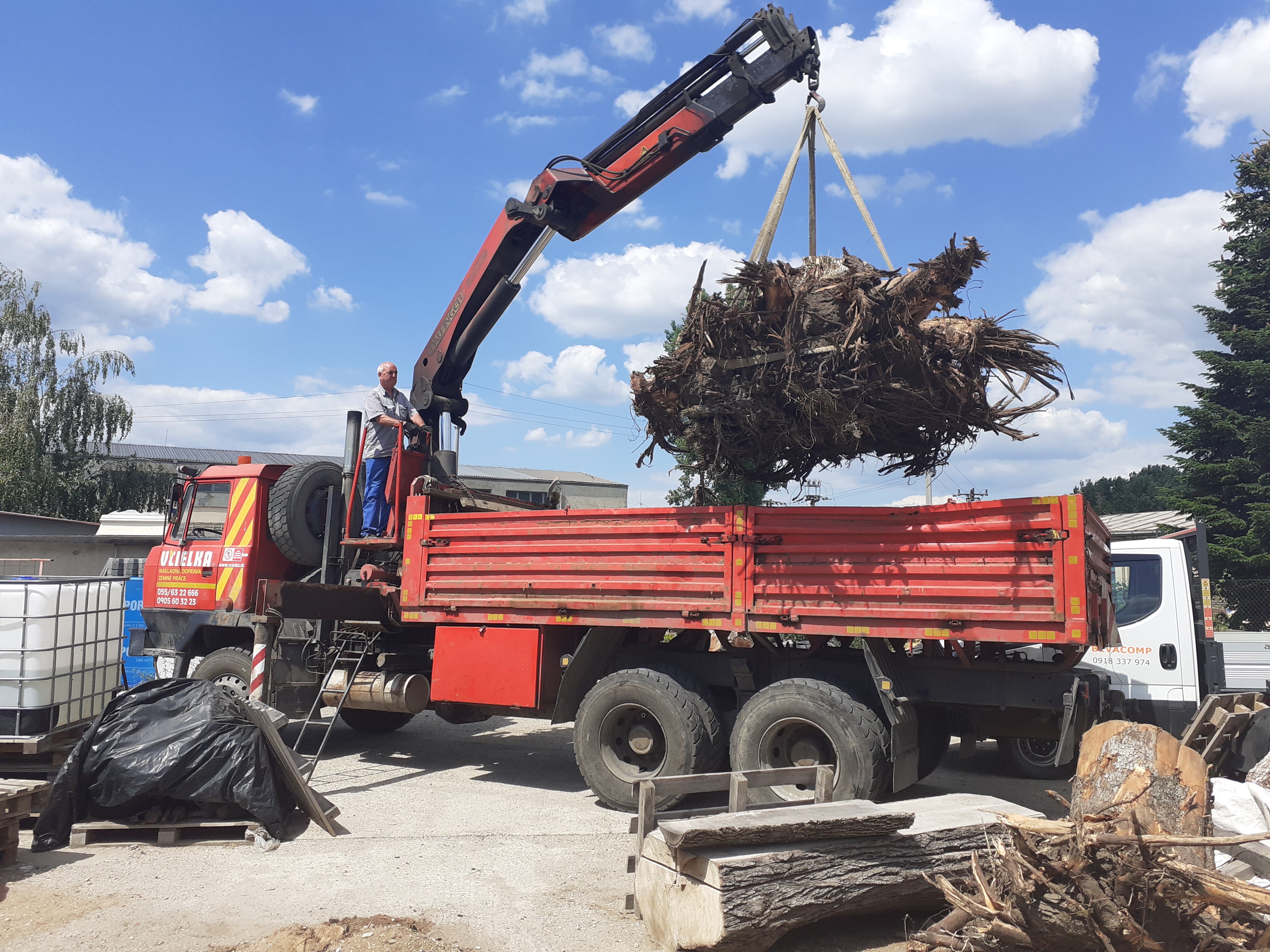 Referencie arboristika