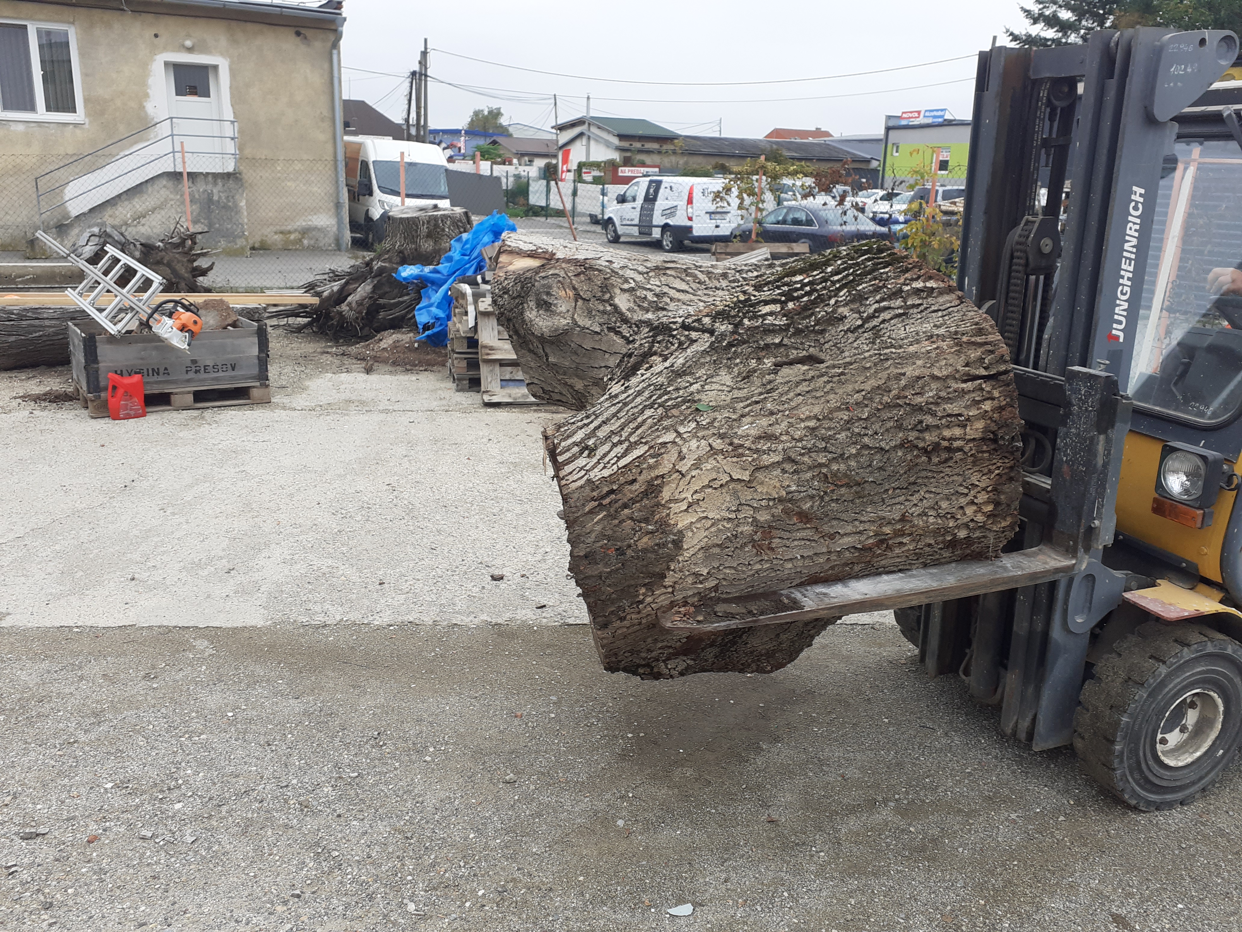 Referencie arboristika