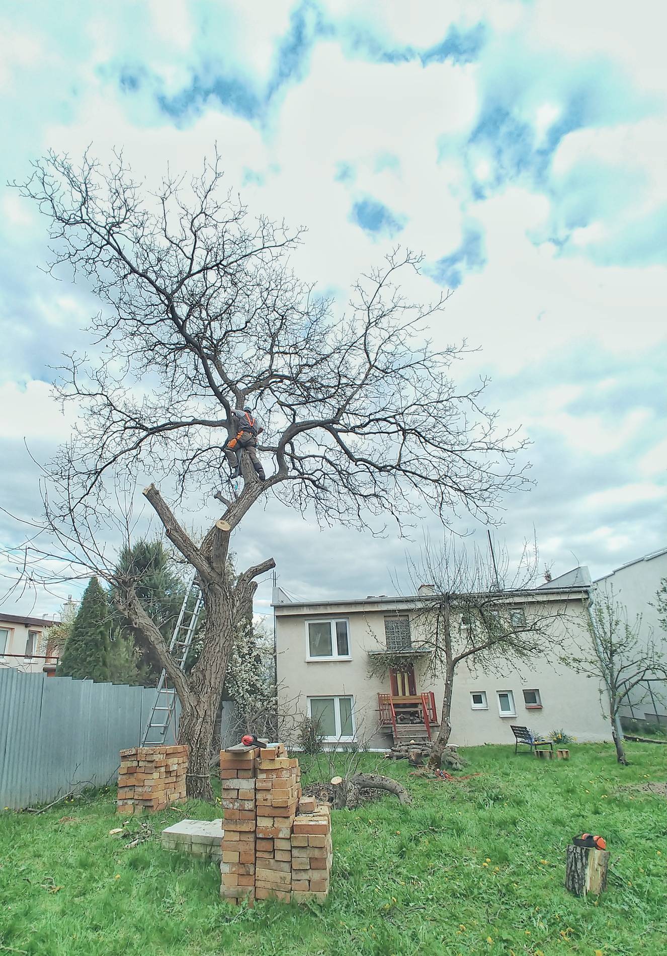 Referencie arboristika